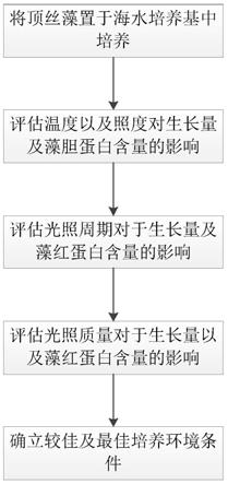 一种提高顶丝藻中藻红蛋白含量的培养方法与流程