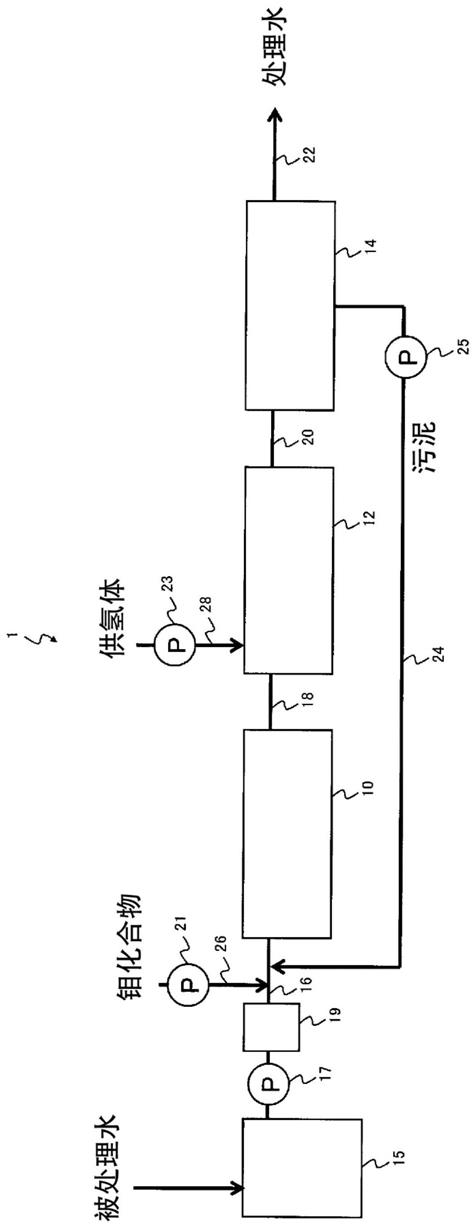 水处理方法和水处理装置与流程