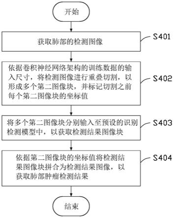 肿瘤检测方法及肿瘤检测装置与流程