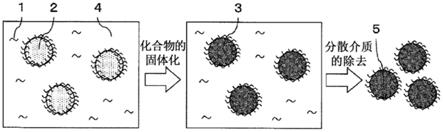 复合颗粒、复合颗粒的制造方法、干燥粉体、皮肤涂布用组合物以及该皮肤涂布用组合物的制造方法与流程