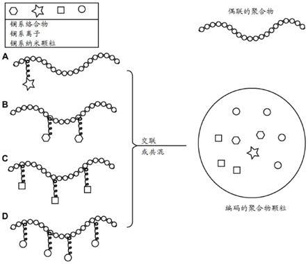 编码的发色聚合物颗粒的制作方法