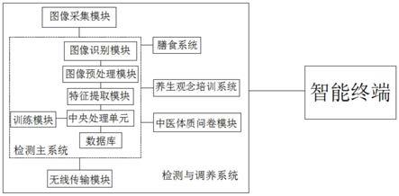 基于影像大数据的中医体质智能检测与调养系统及方法与流程