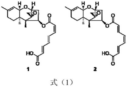 化合物harzianums及其产生菌的除草活性的制作方法