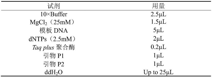 一种Bt蛋白Cry1A-like及其编码基因和应用的制作方法