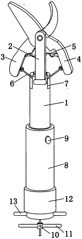 一种用于园林养护的高空修剪工具的制作方法