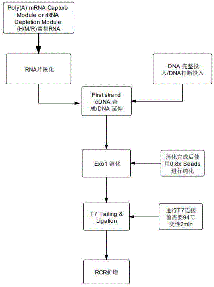一种DNA和RNA共建库的方法及试剂盒与流程