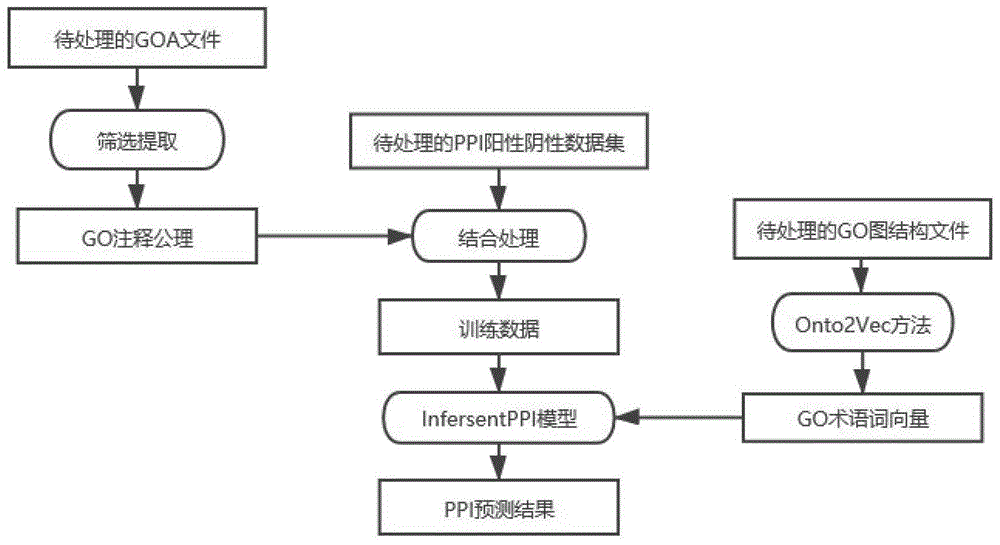 一种基于句嵌入Infersent模型的蛋白质-蛋白质相互作用预测方法与流程