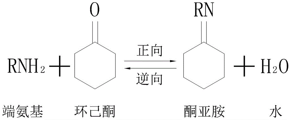 防泛白环氧地坪面漆固化剂及其制备方法与流程