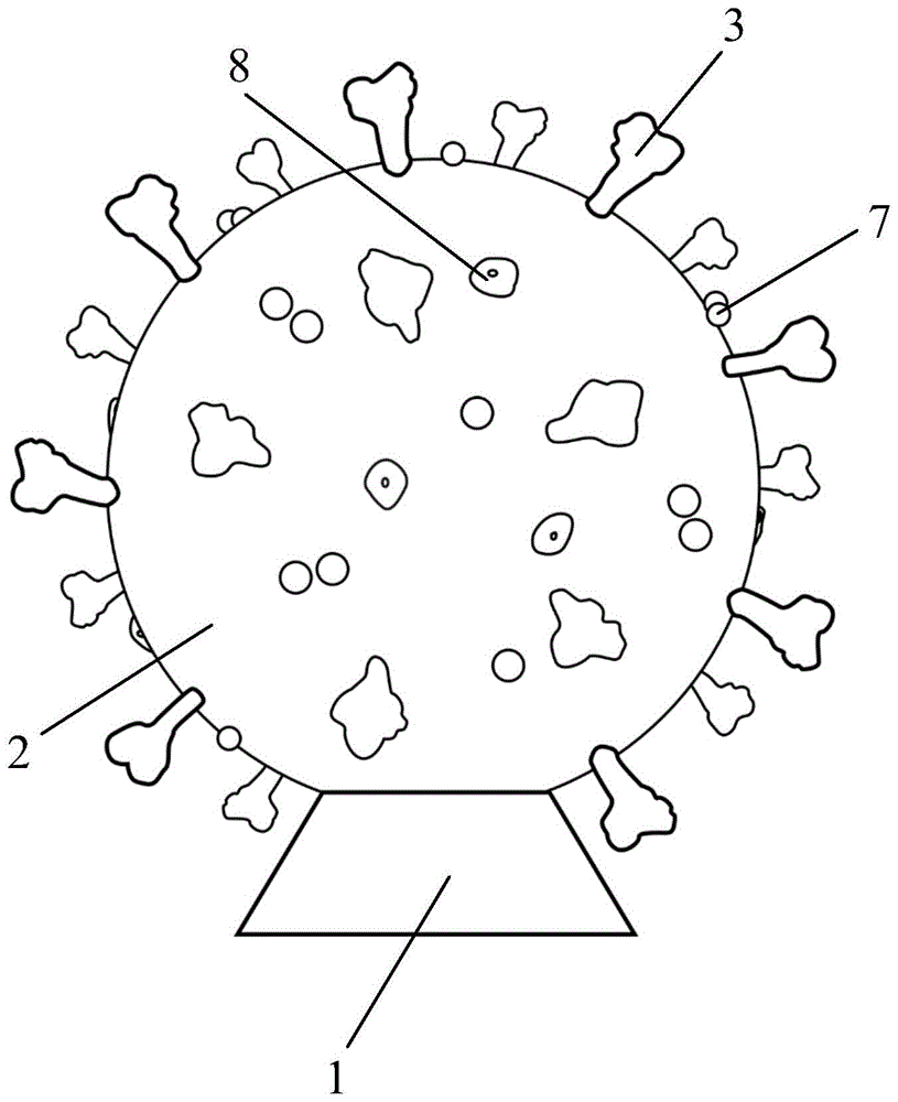 一种新型冠状病毒模型教具的制作方法