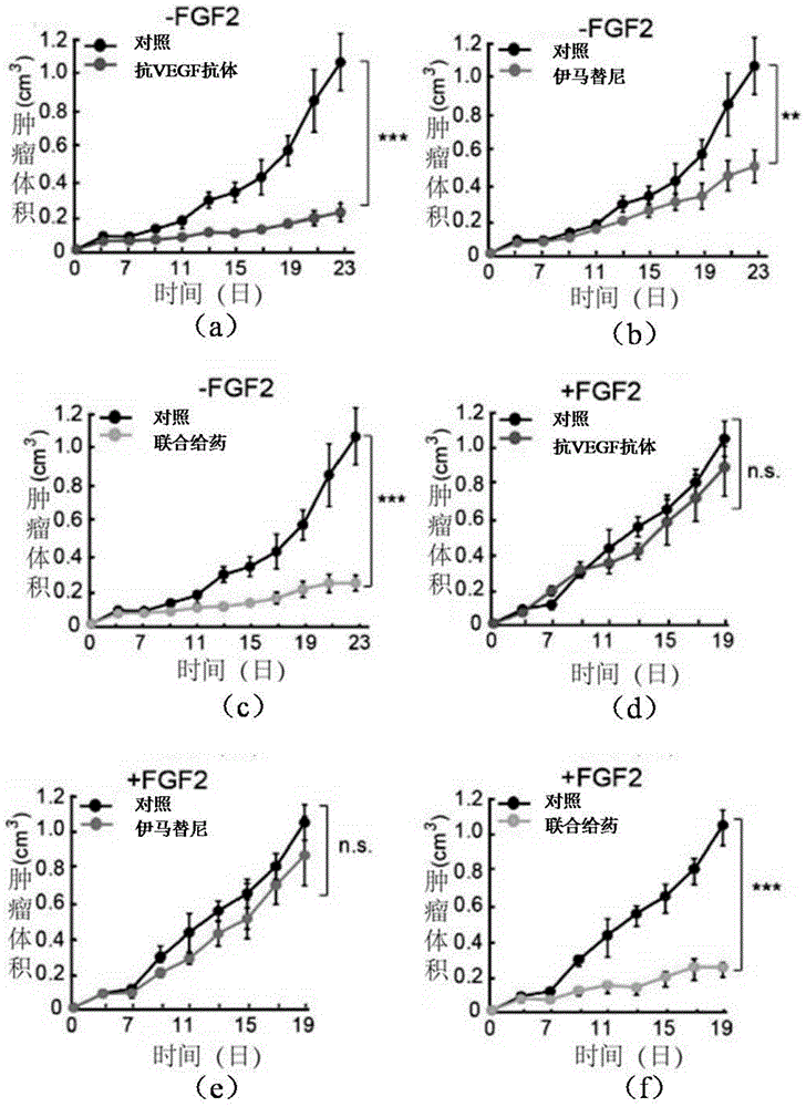 抗VEGF抗体和PDGF/PDGFR抑制剂在制备治疗表达FGF2肿瘤的药物的应用的制作方法