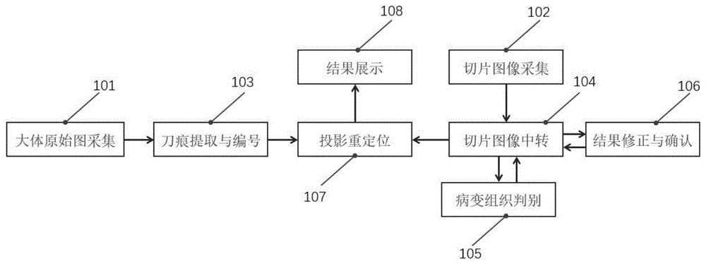 一种组织病变区域图像辅助复原系统和方法与流程