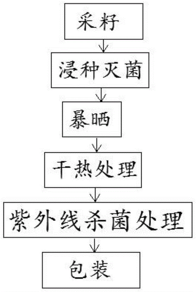 一种哈密瓜的种子浸泡灭菌方法与流程