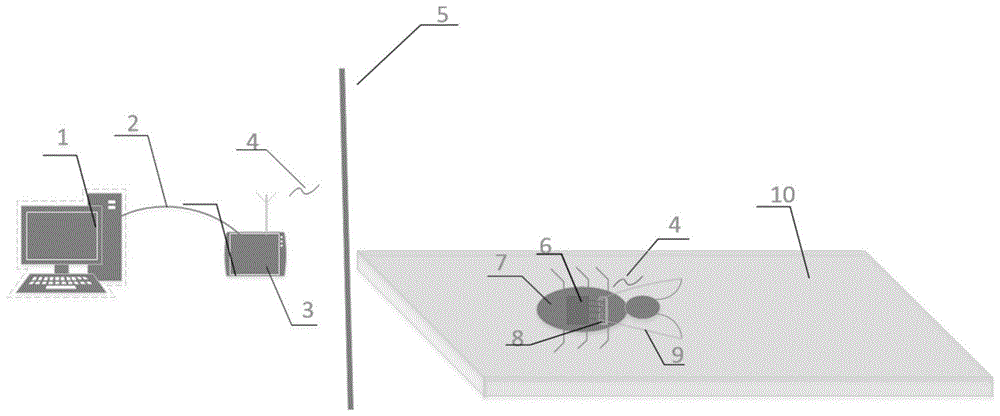 一种昆虫机器人运动行为监测与控制系统及方法与流程