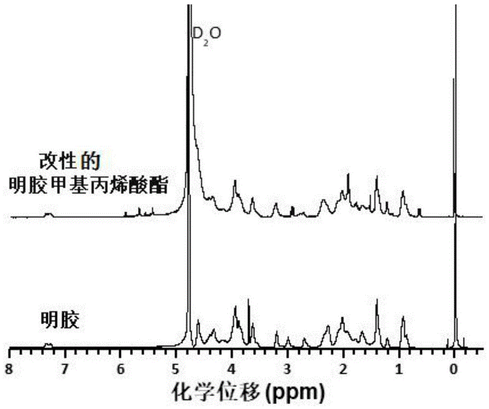 一种明胶的改性方法与流程