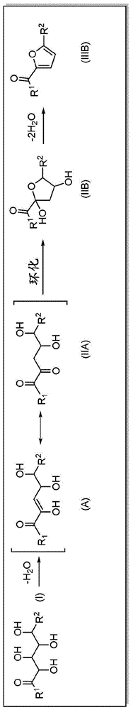 α,β-二羟基羰基化合物脱水并环化为2-取代的呋喃衍生物的制作方法