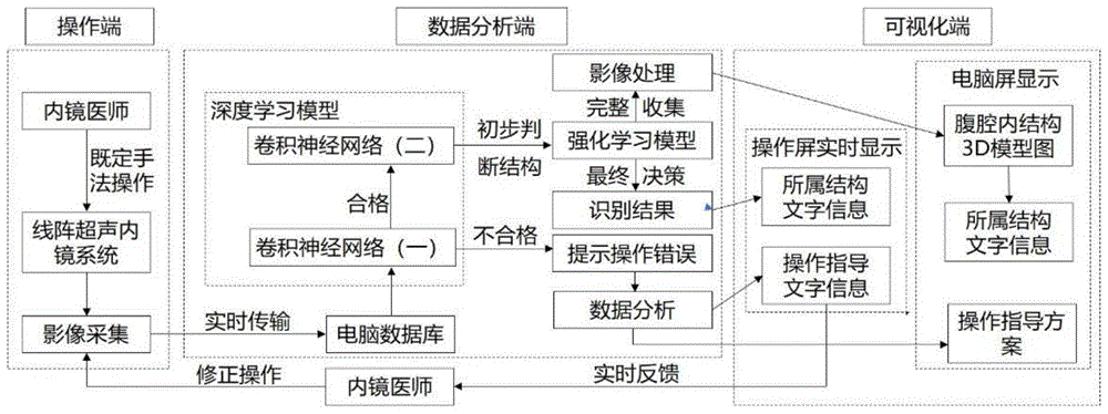 一种线阵超声内镜下识别腹腔内结构系统及其方法与流程