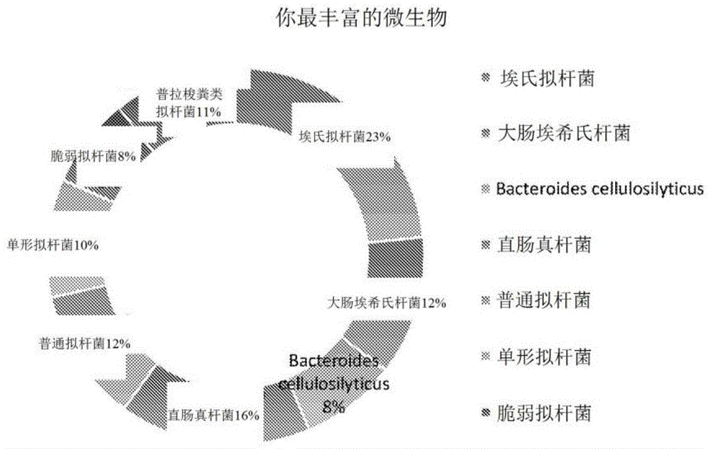 用于从样品中的一种或多种类型的微生物的不同群体中提取核酸分子的通用方法与流程