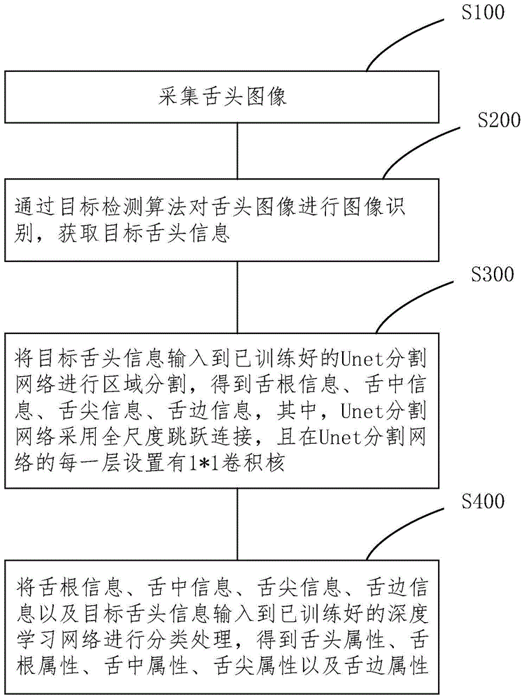 舌头区域识别的方法、装置及计算机存储介质与流程