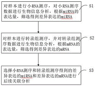 一种miRNA数据与转录组数据贯穿分析的方法及系统与流程