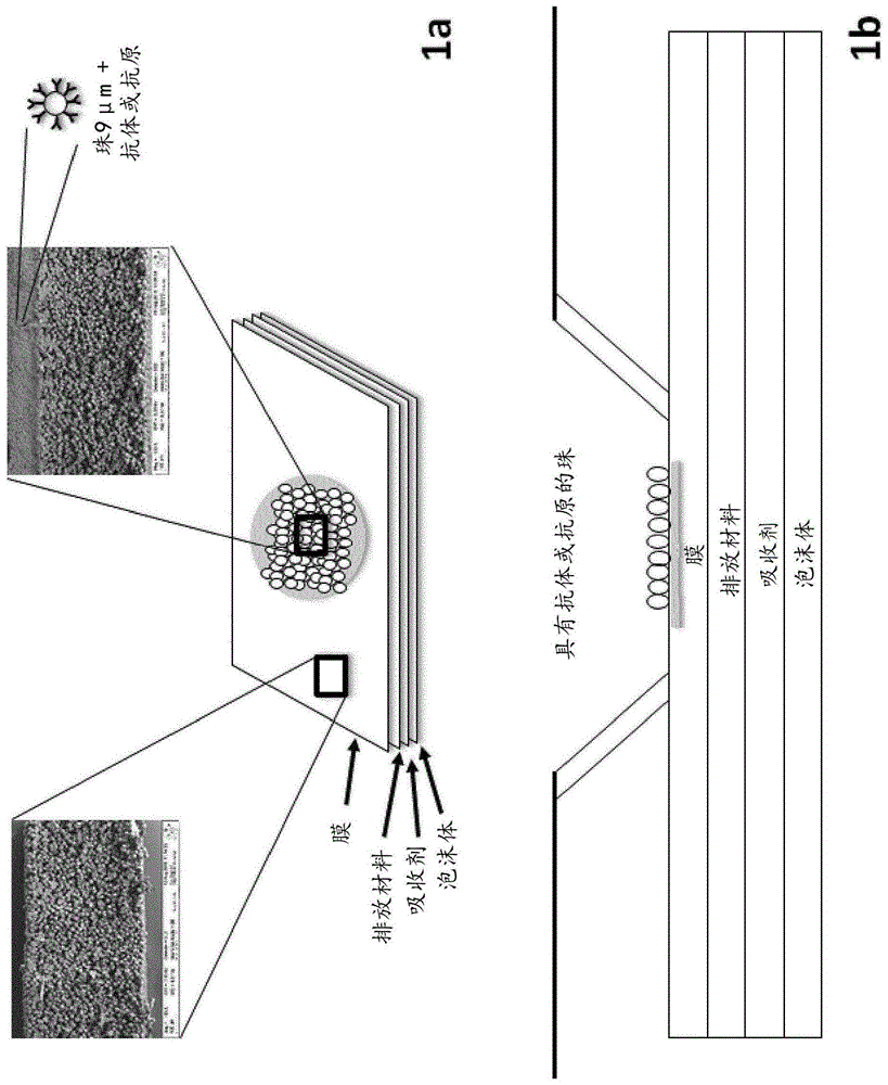 包括珠的体外诊断装置及其用途的制作方法