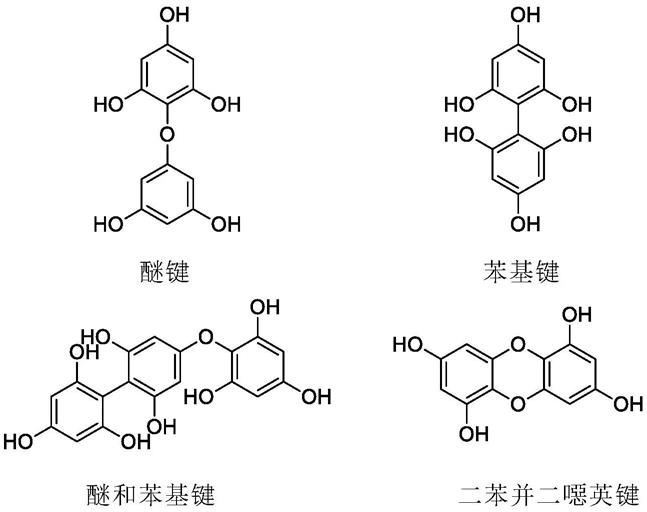 抗病毒组合物的制作方法