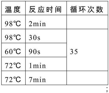 一种用于肺炎致病菌及耐药基因检测的试剂盒的制作方法