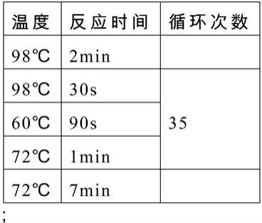 一种用于检测血流感染致病菌及耐药基因的试剂盒的制作方法