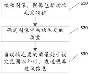 用于动物饲养的方法、装置及设备与流程