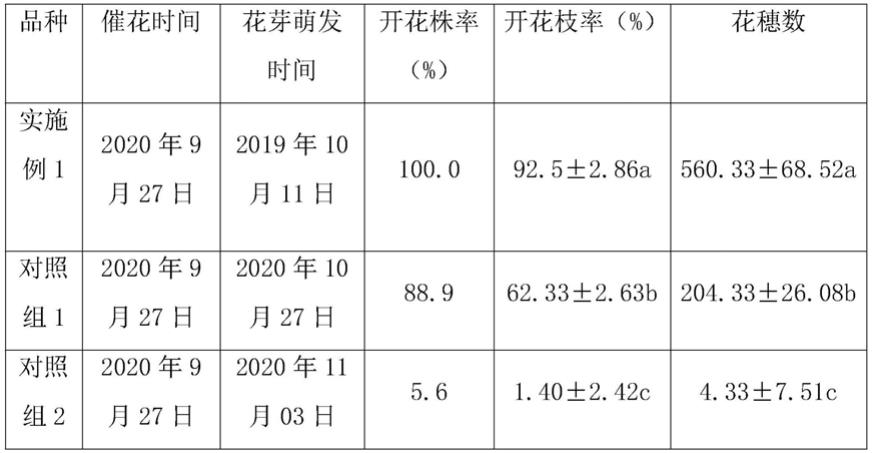 一种大棚种植莲雾调整产期的省工化栽培方法