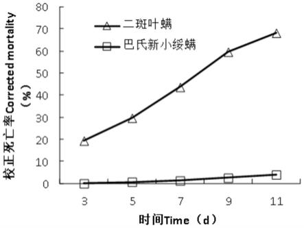 巴氏新小绥螨和顶孢霉联合在防治二斑叶螨中的应用