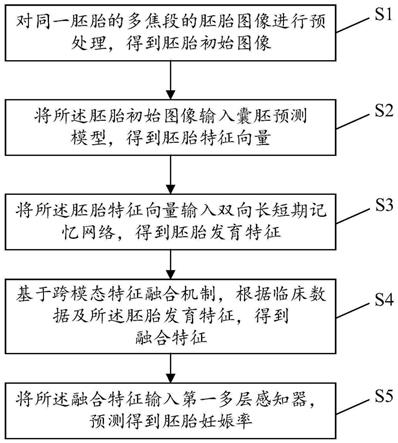 一种胚胎发育潜能预测方法、系统、设备及存储介质