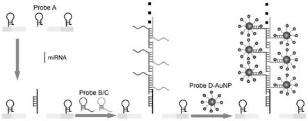 痕量微小核糖核酸的电化学检测方法与流程