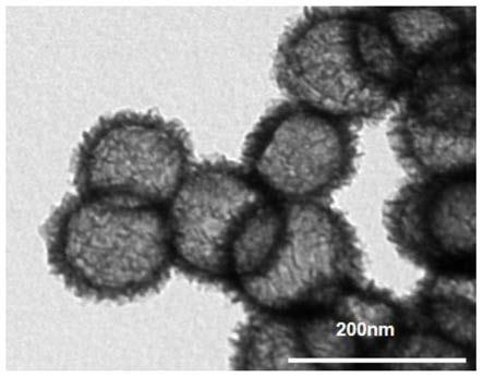 一种中空二氧化锰纳米球的制备方法与应用与流程