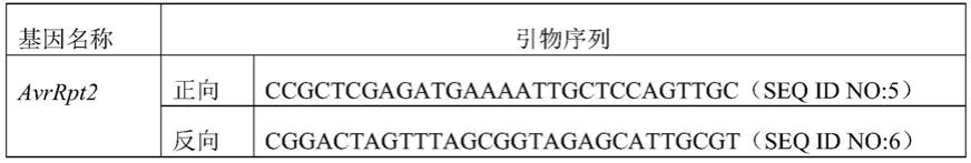 增强植物免疫效应的方法及其用途