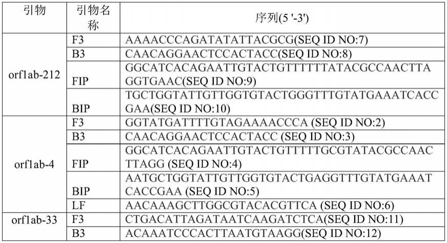 检测2019-nCoV中orf1ab基因的RT-LAMP试剂盒及其专用引物和应用的制作方法