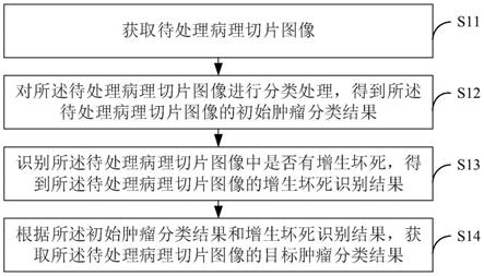 病理切片图像处理方法、电子设备及存储介质与流程