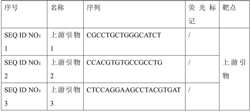 EGFR基因T790M和C797S顺反式突变的检测试剂盒的制作方法
