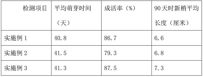 一种油茶硬枝嫁接方法与流程