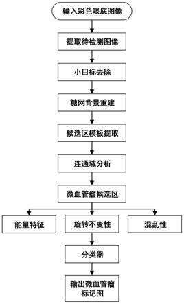 一种眼底图像微血管瘤检测装置、方法及存储介质