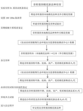 一种非转基因棉花育种方法与流程