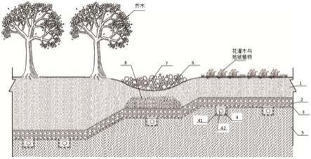 一种盐碱地绿化排盐入渗结构的制作方法