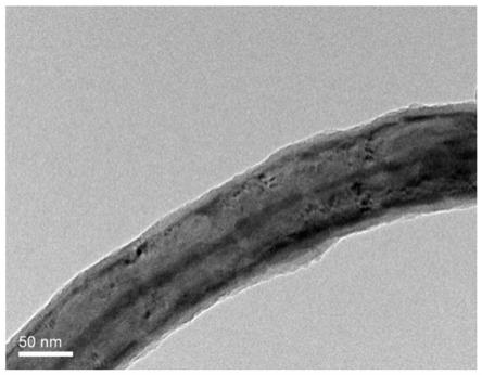 一种碳纳米管中管@硒复合材料及其制备方法和应用