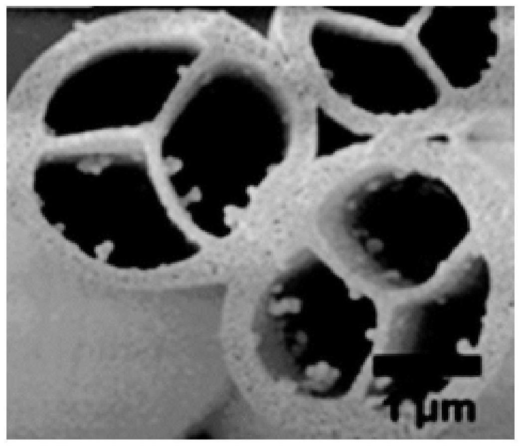 一种纳米碳纤维复合材料及其制备方法与应用