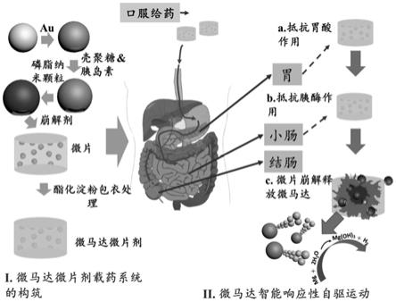 一种微马达载体及其制备方法与应用