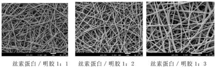 含美洲大蠊药渣多糖的复合纳米纤维膜及制备方法与应用