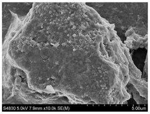 一种基于MXene材料固定胆固醇氧化酶的生物传感器及其检测方法