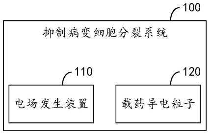 抑制病变细胞分裂系统及其控制方法与流程