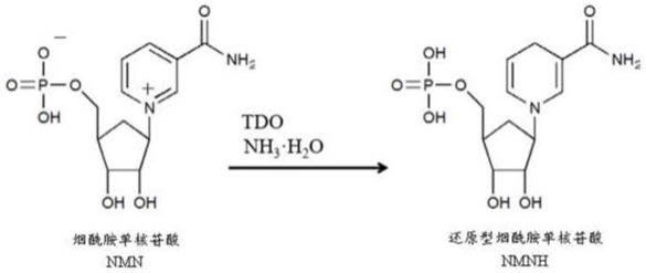 NMN衍生物的合成方法和NMN及其衍生物的医学应用