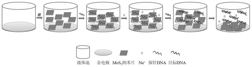 一种DNA生物传感器及其制备方法