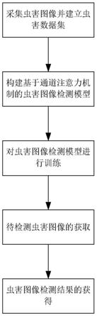 一种基于通道注意力机制的虫害图像检测方法